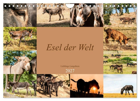 Esel der Welt - Lieblings Langohren (Wandkalender 2027 DIN A4 quer), CALVENDO Monatskalender