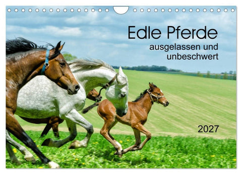 Edle Pferde - ausgelassen und unbeschwert (Wandkalender 2027 DIN A4 quer), CALVENDO Monatskalender