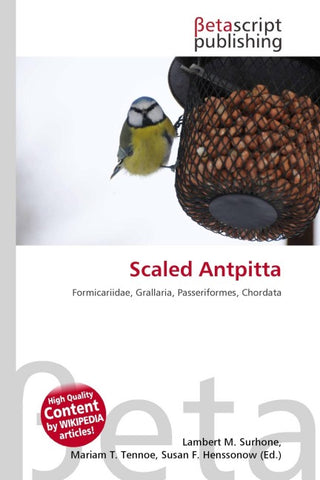 Scaled Antpitta
