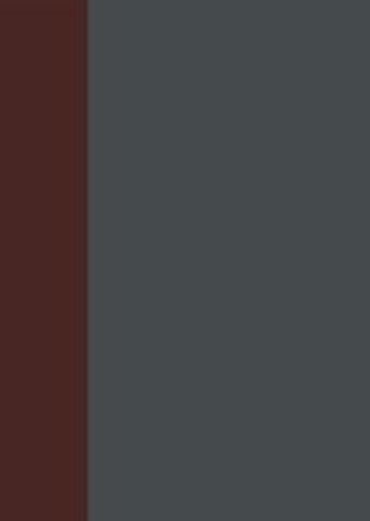 Aktiengesetz / §§ 278-310