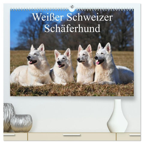 Weißer Schweizer Schäferhund (hochwertiger Premium Wandkalender 2026 DIN A2 quer), Kunstdruck in Hochglanz