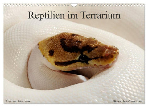 REPTILIEN IM TERRARIUM (Wandkalender 2027 DIN A3 quer), CALVENDO Monatskalender