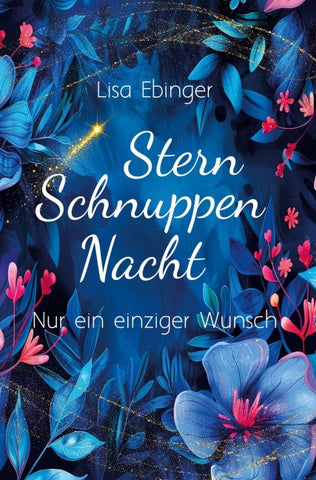 Sternschnuppennacht