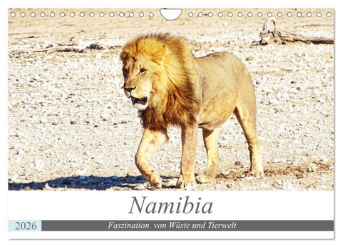 Namibia, Faszination Wüste und Tierwelt (Wandkalender 2026 DIN A4 quer), CALVENDO Monatskalender