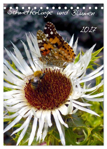 Schmetterlilnge und Blumen (Tischkalender 2027 DIN A5 hoch), CALVENDO Monatskalender
