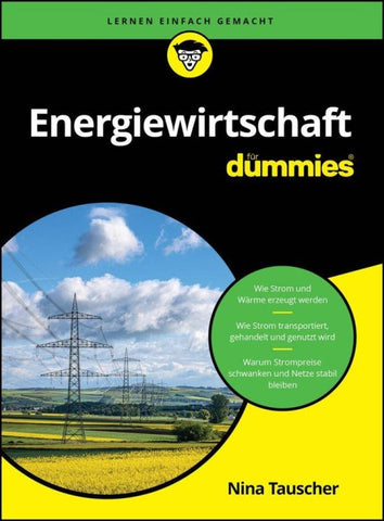 Energiewirtschaft für Dummies