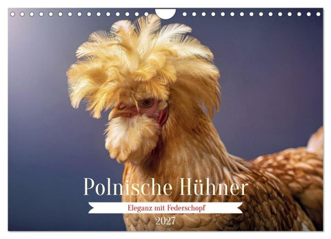 Polnische Hühner (Wandkalender 2027 DIN A4 quer), CALVENDO Monatskalender