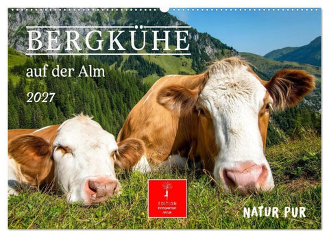 Bergkühe auf der Alm - Natur pur (Wandkalender 2027 DIN A2 quer), CALVENDO Monatskalender