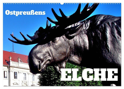 Ostpreußens Elche (Wandkalender 2027 DIN A2 quer), CALVENDO Monatskalender