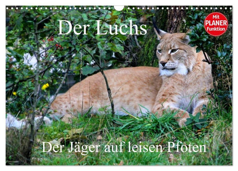 Der Luchs - Der Jäger auf leisen Pfoten (Wandkalender 2027 DIN A3 quer), CALVENDO Monatskalender
