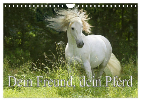 Dein Freund, dein Pferd (Wandkalender 2026 DIN A4 quer), CALVENDO Monatskalender