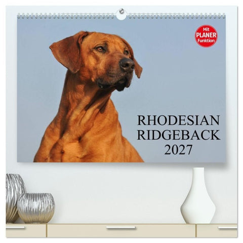 Rhodesian Ridgeback 2027 (hochwertiger Premium Wandkalender 2027 DIN A2 quer), Kunstdruck in Hochglanz