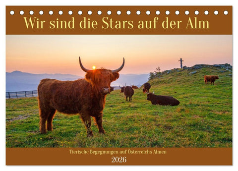 Wir sind die Stars auf der Alm (Tischkalender 2026 DIN A5 quer), CALVENDO Monatskalender