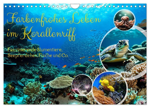Farbenfrohes Leben im Korallenriff (Wandkalender 2027 DIN A4 quer), CALVENDO Monatskalender