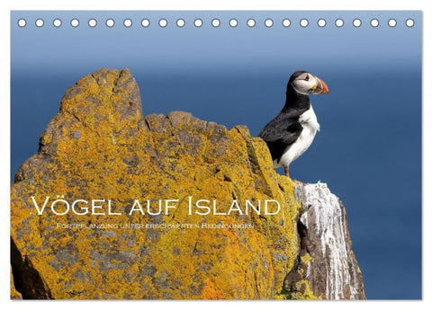 Vögel auf Island (Tischkalender 2027 DIN A5 quer), CALVENDO Monatskalender