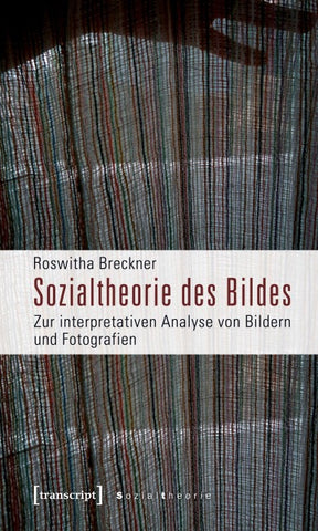 Sozialtheorie des Bildes