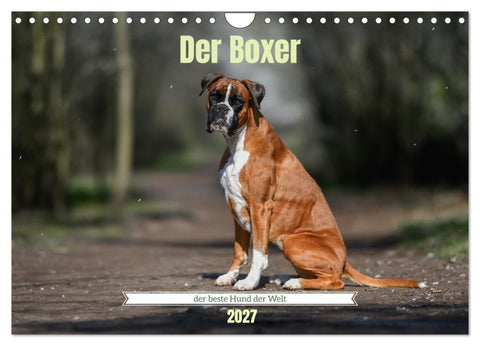 Der Boxer, der beste Hund der Welt (Wandkalender 2027 DIN A4 quer), CALVENDO Monatskalender