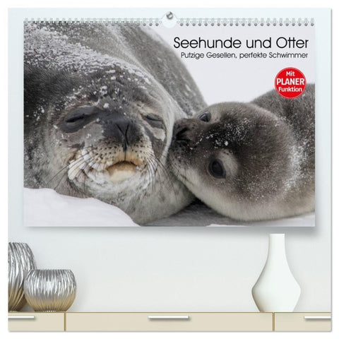 Seehunde und Otter. Putzige Gesellen, perfekte Schwimmer (hochwertiger Premium Wandkalender 2026 DIN A2 quer), Kunstdruck in Hochglanz
