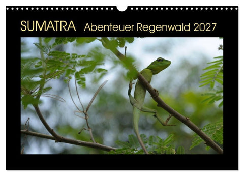 SUMATRA Abenteuer Regenwald (Wandkalender 2027 DIN A3 quer), CALVENDO Monatskalender