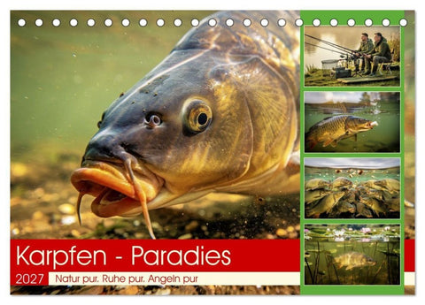 Karpfen - Paradies (Tischkalender 2027 DIN A5 quer), CALVENDO Monatskalender