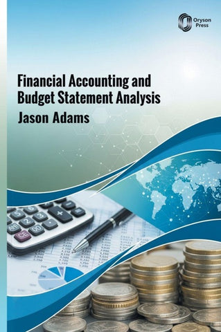 Financial Accounting and Budget Statement Analysis