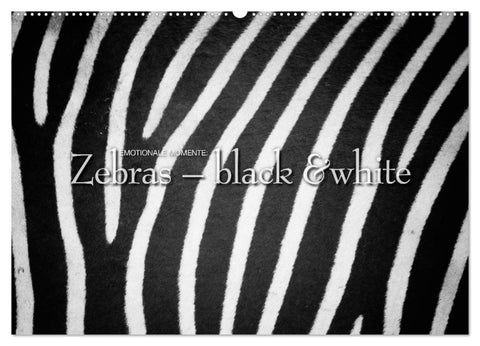 Emotionale Momente: Zebras - black & white. (Wandkalender 2026 DIN A2 quer), CALVENDO Monatskalender