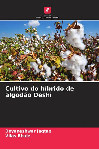 Cultivo do híbrido de algodão Deshi