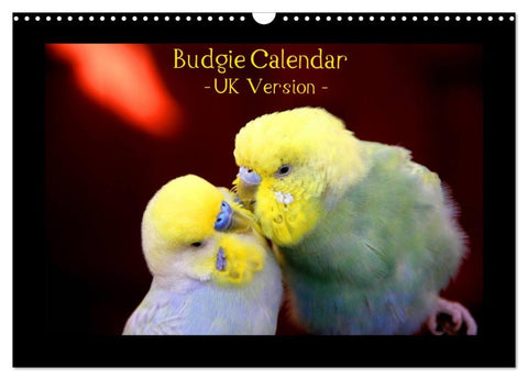 Budgie Calendar - UK Version (Wall Calendar 2026 DIN A3 landscape), CALVENDO 12 Month Wall Calendar