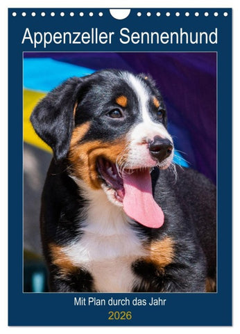 Appenzeller Sennenhund - Mit Plan durch das Jahr (Wandkalender 2026 DIN A4 hoch), CALVENDO Monatskalender