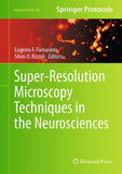 Super-Resolution Microscopy Techniques in the Neurosciences