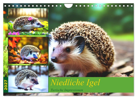 Niedliche Igel (Wandkalender 2027 DIN A4 quer), CALVENDO Monatskalender
