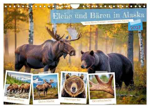 Elche und Bären in Alaska (Wandkalender 2027 DIN A4 quer), CALVENDO Monatskalender