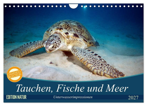 Tauchen, Fische und Meer (Wandkalender 2027 DIN A4 quer), CALVENDO Monatskalender