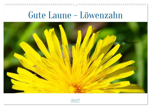 Gute Laune - Löwenzahn (Wandkalender 2027 DIN A2 quer), CALVENDO Monatskalender