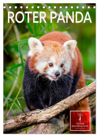 Roter Panda (Tischkalender 2027 DIN A5 hoch), CALVENDO Monatskalender