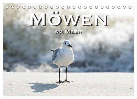 Möwen am Meer (Tischkalender 2027 DIN A5 quer), CALVENDO Monatskalender