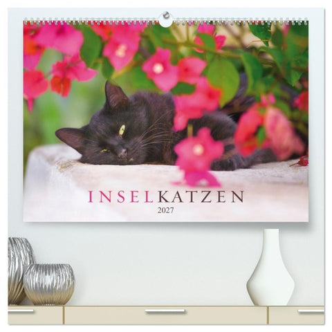 Inselkatzen (hochwertiger Premium Wandkalender 2027 DIN A2 quer), Kunstdruck in Hochglanz