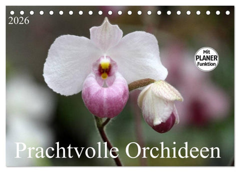 Prachtvolle Orchideen (Tischkalender 2026 DIN A5 quer), CALVENDO Monatskalender