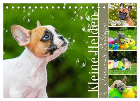 Kleine Helden - Französische Bulldoggen (Tischkalender 2027 DIN A5 quer), CALVENDO Monatskalender
