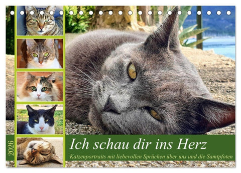 Ich schau dir ins Herz (Tischkalender 2026 DIN A5 quer), CALVENDO Monatskalender