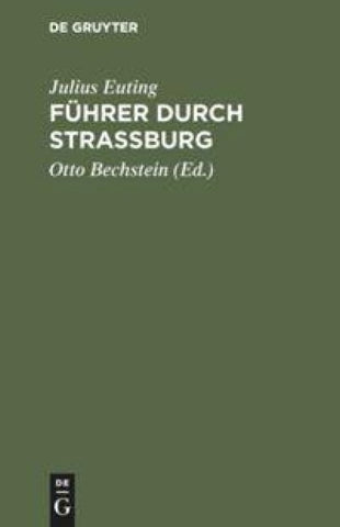 Führer durch Strassburg