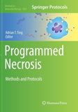 Programmed Necrosis