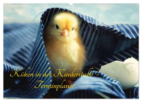 Küken in der Kinderstube Terminplaner (Wandkalender 2026 DIN A2 quer), CALVENDO Monatskalender