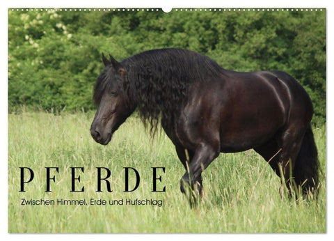 PFERDE - Zwischen Himmel, Erde und Hufschlag (Wandkalender 2027 DIN A2 quer), CALVENDO Monatskalender