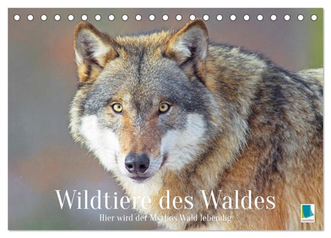 Wildtiere des Waldes: Hier wird der Mythos Wald lebendig (Tischkalender 2026 DIN A5 quer), CALVENDO Monatskalender