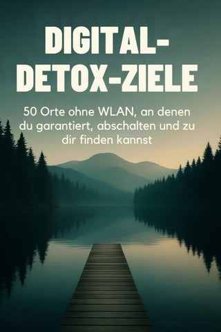 Digital-Detox-Ziele