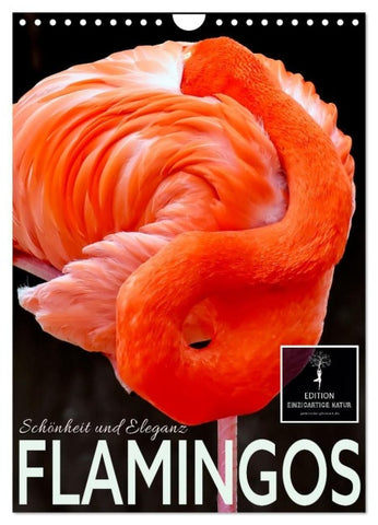 Flamingos - Eleganz und Schönheit (Wandkalender 2027 DIN A4 hoch), CALVENDO Monatskalender