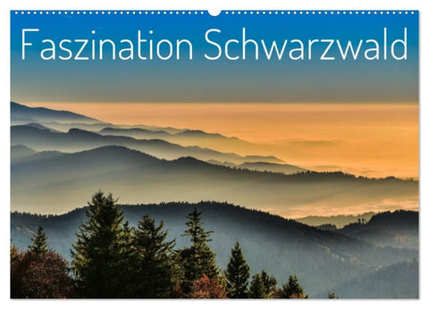Faszination Schwarzwald (Wandkalender 2027 DIN A2 quer), CALVENDO Monatskalender