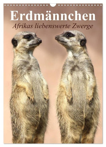 Erdmännchen - Afrikas liebenswerte Zwerge (Wandkalender 2027 DIN A3 hoch), CALVENDO Monatskalender