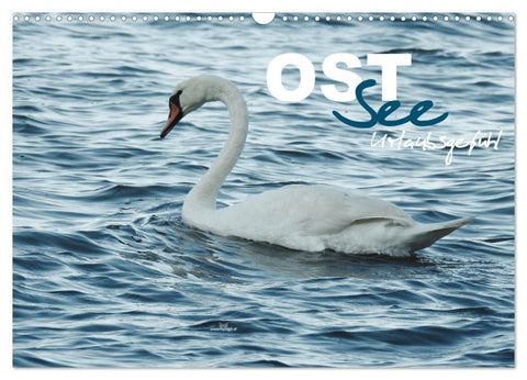 Ostsee - Urlaubsgefühl (Wandkalender 2027 DIN A3 quer), CALVENDO Monatskalender